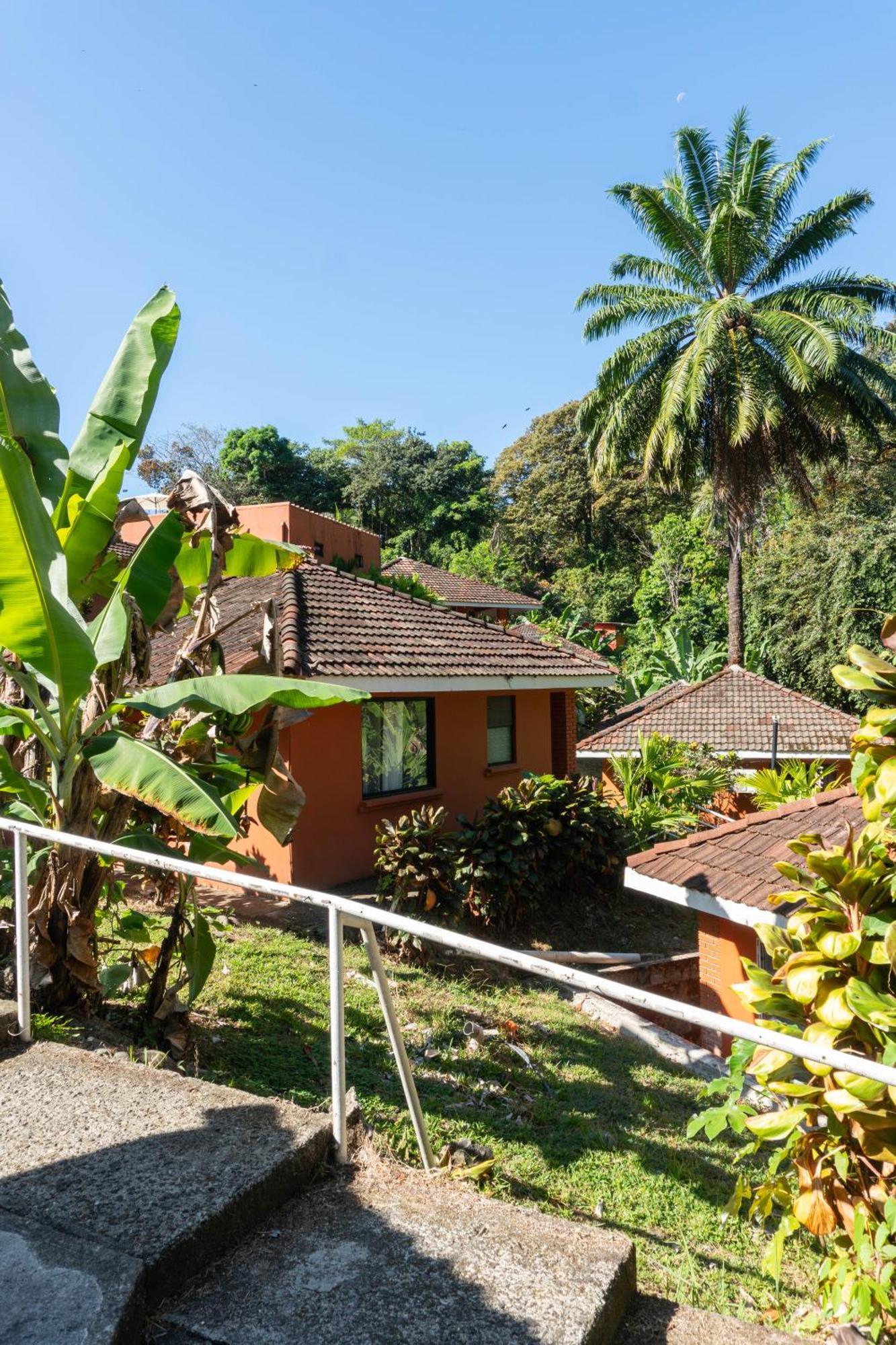 Hotel Bongo - Adults Only Nationalpark Nationalpark Manuel Antonio Exterior foto